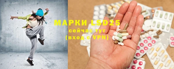 ПСИЛОЦИБИНОВЫЕ ГРИБЫ Алексеевка