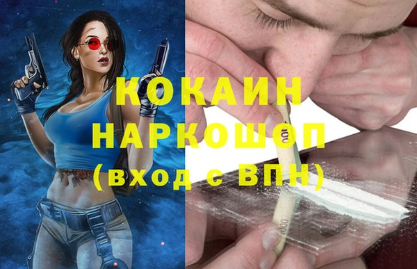 сатива Алзамай
