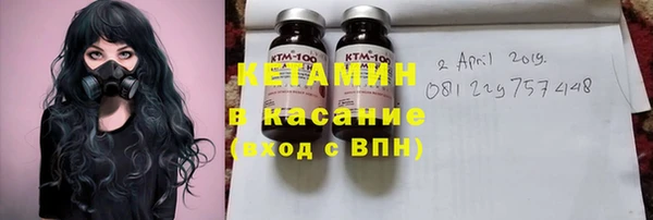 сатива Алзамай