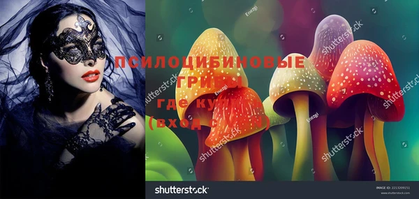 сатива Алзамай