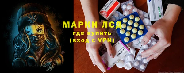 сатива Алзамай